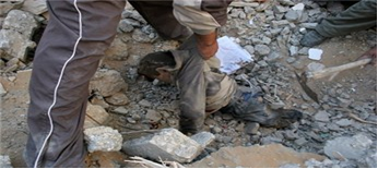 karama337 (3).png - 116.90 kB 